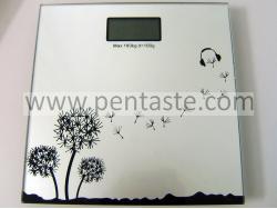 Electronic Personal Scale