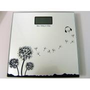 Electronic Personal Scale